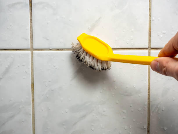 Best Home Mold Removal  in Oakdale, MN