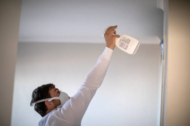 Best Certified Mold Removal  in Oakdale, MN