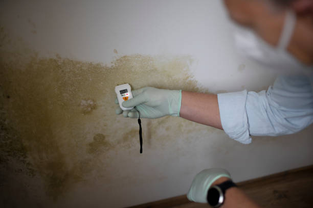 Best Crawl Space Mold Removal  in Oakdale, MN