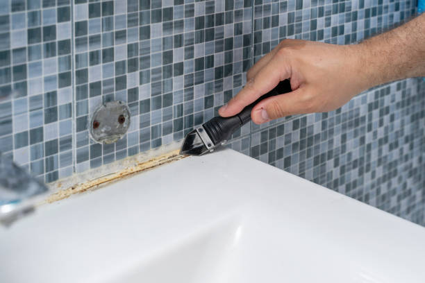 Mold Removal and Inspection in Oakdale, MN